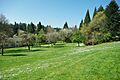 Hillsdale Park lawn - Portland, Oregon