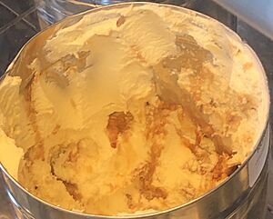 Hokey pokey ice cream (cropped)