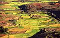 Imerina countryside riziere rice paddies Madagascar