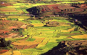 Imerina countryside riziere rice paddies Madagascar