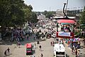 Iowa State Fair attendees (53133649099)