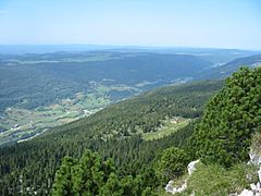 Jura Mountains