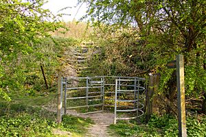 Kissing gate to a footpath (geograph 1888496).jpg