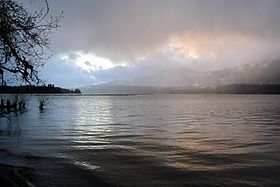 Lake Quinault Mist