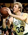 Larry Bird Lipofsky