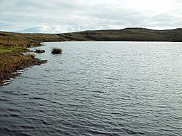 Loch of Stanefield, Whalsay - geograph.org.uk - 121473.jpg