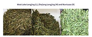 Longjing cultivars
