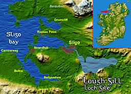 Loughgillsatmap.jpg