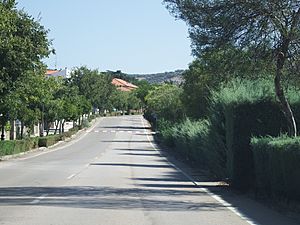 Streets of Madroñera