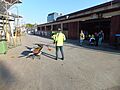 Manure collectors at Ekka 2013