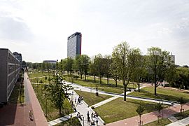Mekel Park - Campus Delft University of Technology 01
