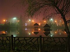 Mellat park at night - panoramio