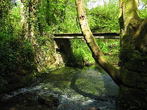 Metal bridge over River Bourne - geograph.org.uk - 1292939