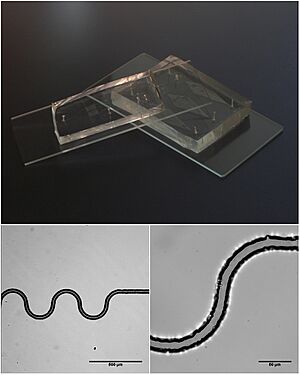 Microfluidics