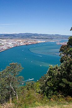 Mt Maunganui & Tauranga 2006