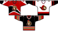 Ottawasenatorsjerseys