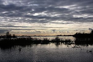 Ouse Washes at Welney - geograph.org.uk - 1046140