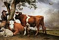 Paulus Potter - Young Bull
