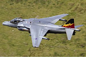RAF British Aerospace Harrier GR9 Lofting-2