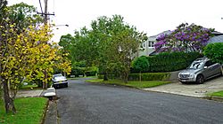 Rosetta Avenue, Killara, New South Wales (2011-04-02)