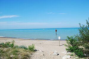 Rosewood Beach