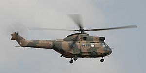SAAF-Puma-002