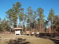 St Marks River SP05