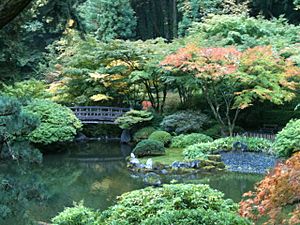 Strolling Pond Garden
