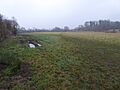 Tailby Meadow 1