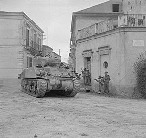 The British Army in Italy 1943 NA9810