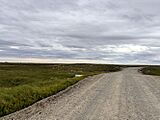 The road to Pederson Point, AK
