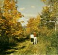 Trail near Glidden Drive, in the town of Sevastopol, Door County, Wisconsin published in 1963