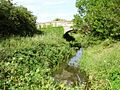 Ulster Canal, Tyholland - geograph.org.uk - 310044