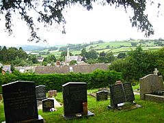 View over Llandyssil from the old churchyard.