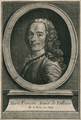 Voltaire - Élémens de la philosophie de Neuton