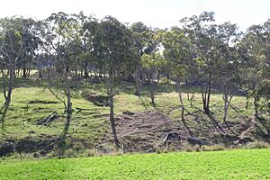 Weabonga mullock heaps