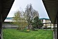 Wilson-Pacific School 04