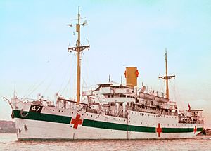 A single-funnelled merchant ship at rest. The ship is painted white, with a dark green horizontal band along the hull, interspersed by three red crosses. The number "47" is painted near the bow, in a black box above the green line.