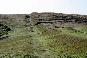 Along the Shire Ditch to Broad Down - geograph.org.uk - 1417378