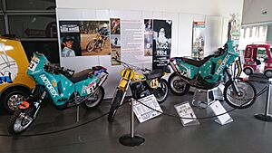 Andy Caldecott display