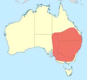 Austrogomphus australis distribution map.svg