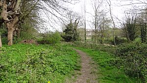Belmont Pastures 1