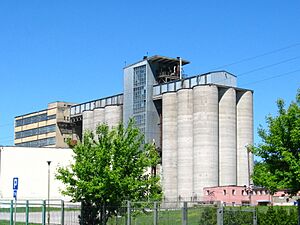 Bialystok - Starosielce - ul. Elewatorska - Silosy Podlaskich Zakladow Zbozowych