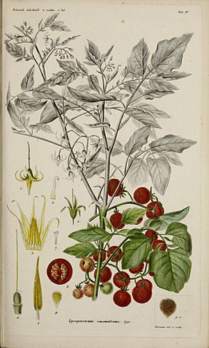 Botanisk tidsskrift (17645191178).jpg