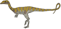 Camposaurus arizonensis.png