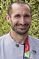 Chiellini Mancini Gravina Mattarella 2021 (Giorgio Chiellini)
