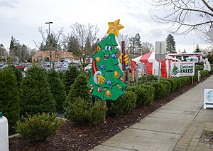 Christmas tree lot on Cornell Rd in Cedar Mill, Oregon