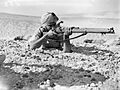 Commonwealth Forces in North Africa E53