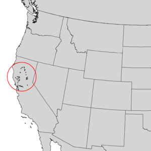 Cupressus macnabiana range map 2.png