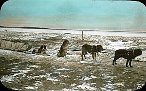Dog team and sled Ile-à-la-Crosse SK 1910